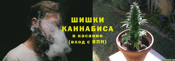 ГАЛЛЮЦИНОГЕННЫЕ ГРИБЫ Новокубанск