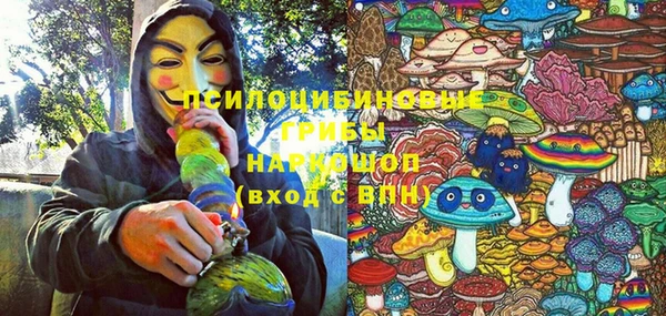 ГАЛЛЮЦИНОГЕННЫЕ ГРИБЫ Новокубанск
